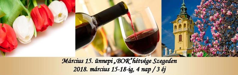 Március 15. ünnepi borhétvége Szegeden, Tisza Hotel